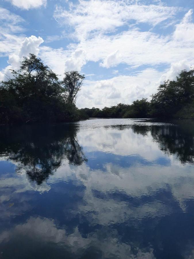 Hotel Colibri Peten フローレス エクステリア 写真