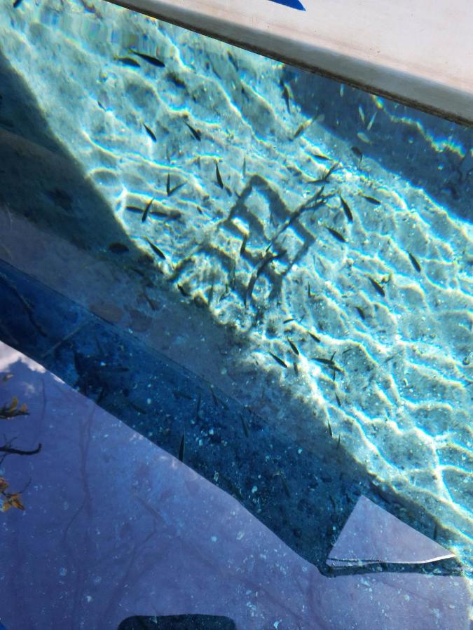 Hotel Colibri Peten フローレス エクステリア 写真
