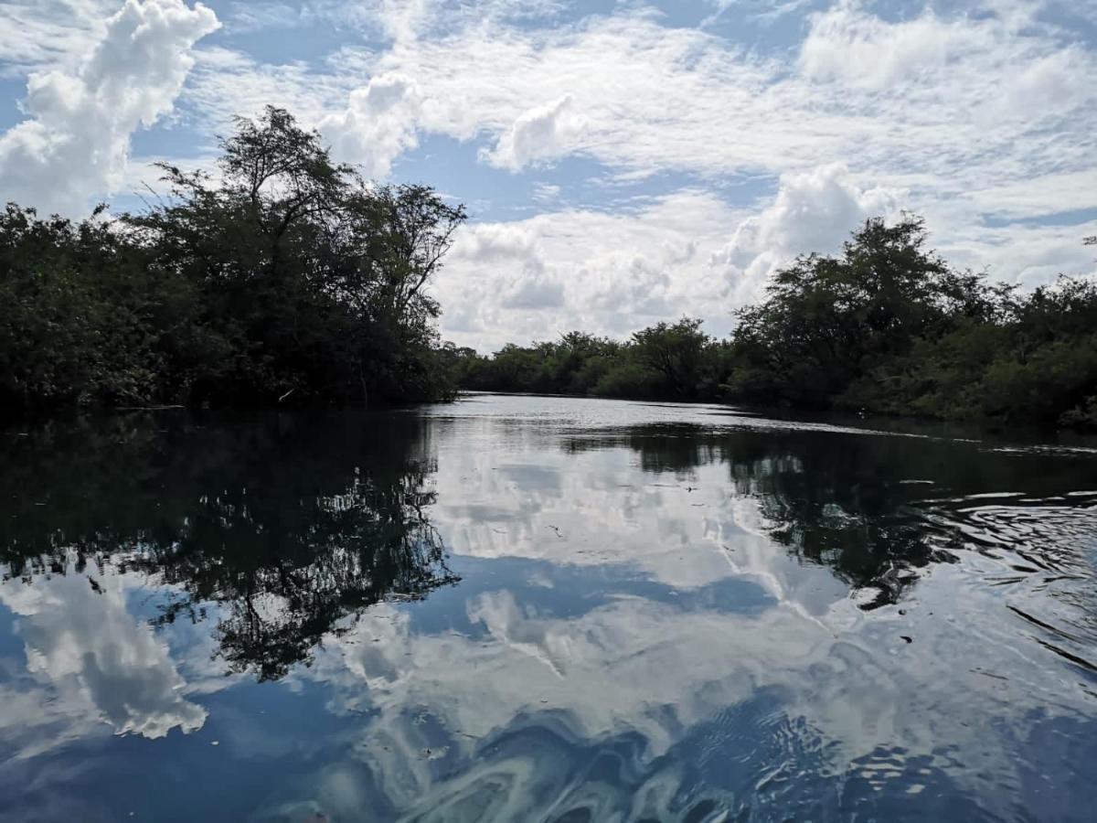 Hotel Colibri Peten フローレス エクステリア 写真